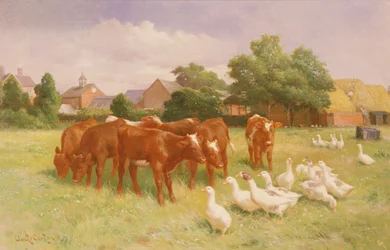 Vaches et canards